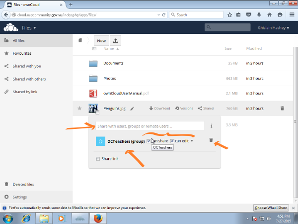 ownCloud browser share file options